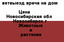 ветвыезд врача на дом › Цена ­ 600 - Новосибирская обл., Новосибирск г. Животные и растения » Услуги   . Новосибирская обл.,Новосибирск г.